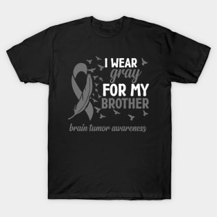 Brother Brain Cancer Awareness I Wear Gray for My Brother T-Shirt